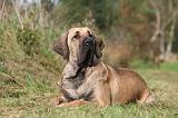 FILA BRASILEIRO 009